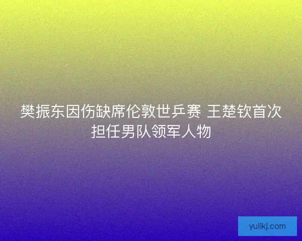 樊振东因伤缺席伦敦世乒赛 王楚钦首次担任男队领军人物
