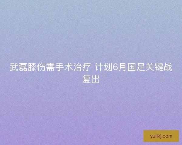 武磊膝伤需手术治疗 计划6月国足关键战复出 武磊膝伤需手术治疗 计划6月国足关键战复出