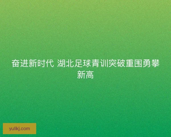 奋进新时代 湖北足球青训突破重围勇攀新高